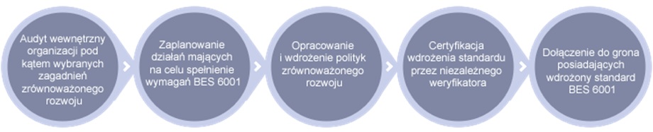 Wdrożenie BES dla Rigips