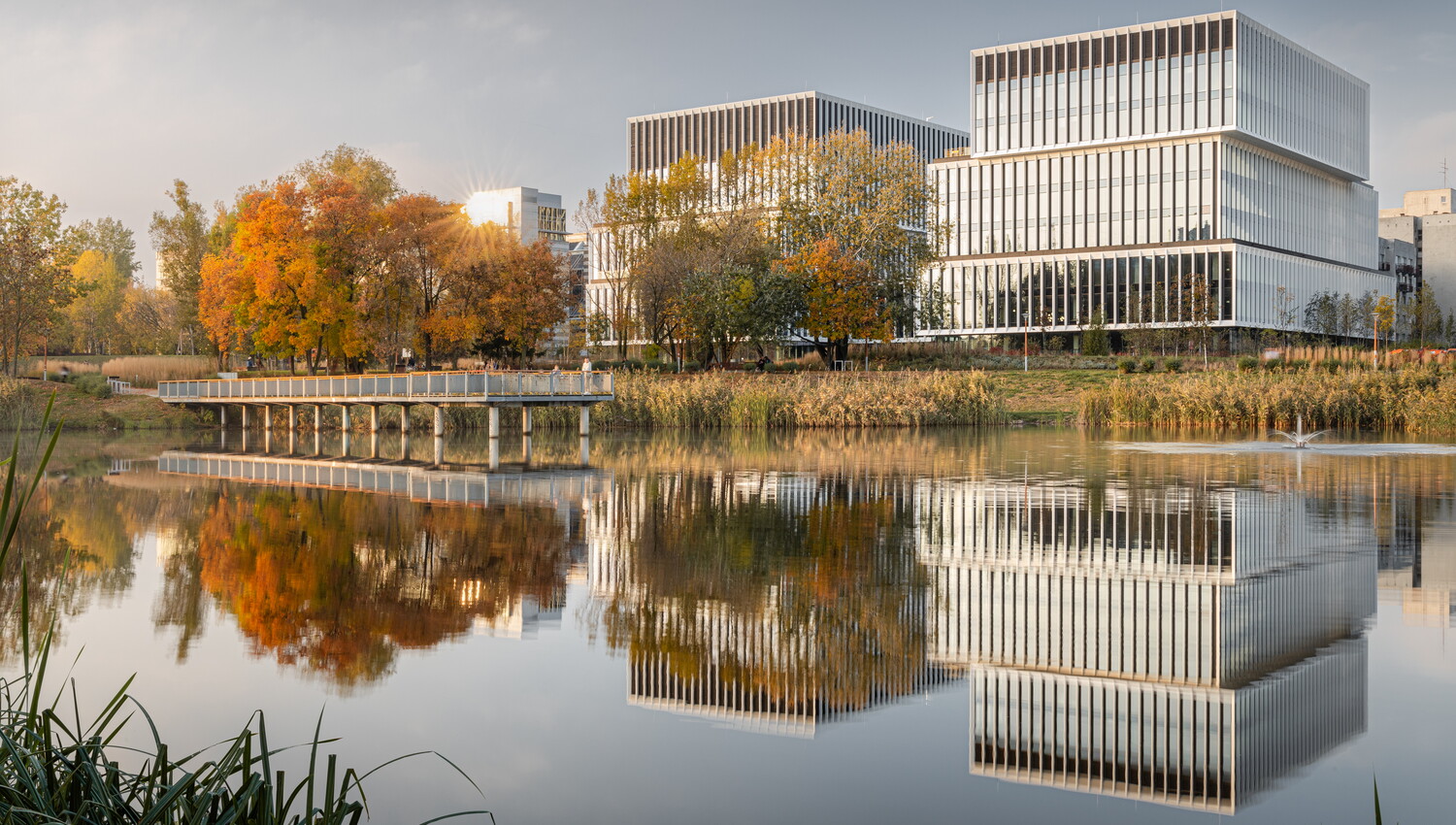 Biurowiec Lakeside