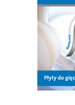 rigips_pyty_do_gicia_20170310.pdf.jpg