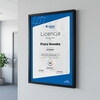 licencja RIGIPS