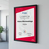 Licencja Rigips FIRE +